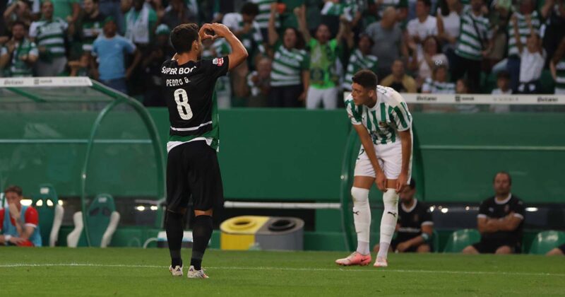 Pedro Gon&ccedil;alves