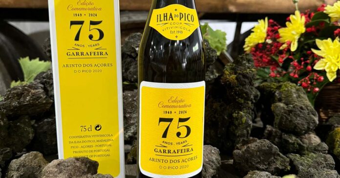 Picowines vinho Picowines vinho
