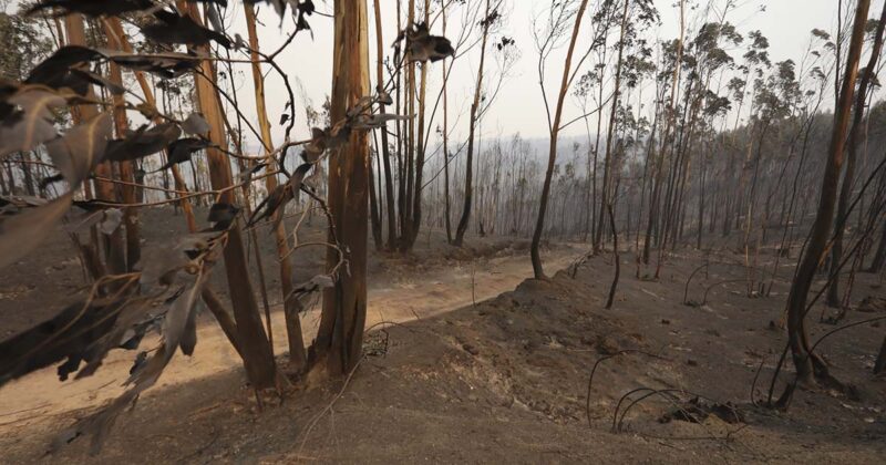 Inc&ecirc;ndios Portugal