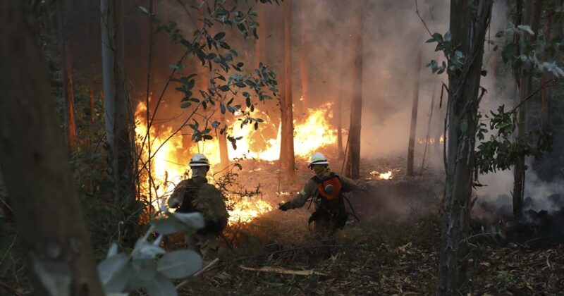 Inc&ecirc;ndios Portugal