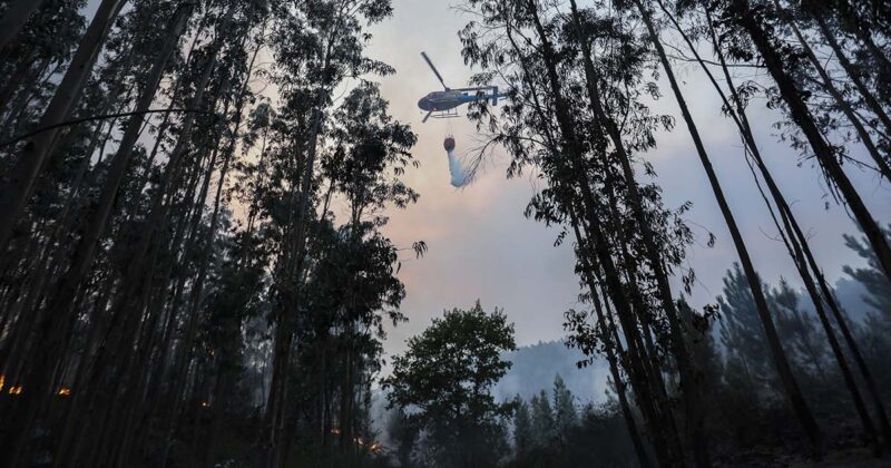 Inc&ecirc;ndios Portugal