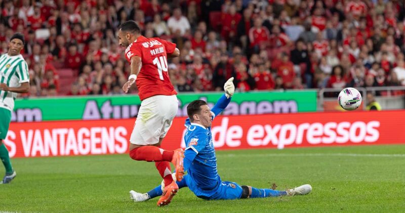 Benfica Liga Portugal