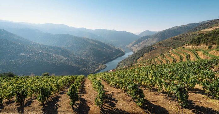 Academia Douro e Porto - maksym-kaharlytskyi-5ZmAyIG_OrI-unsplash Academia Douro e Porto
