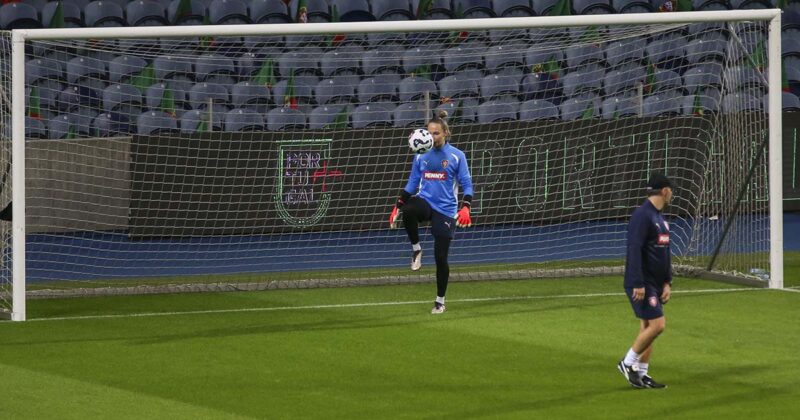 Treino Sela&ccedil;&atilde;o da Ch&eacute;quia
