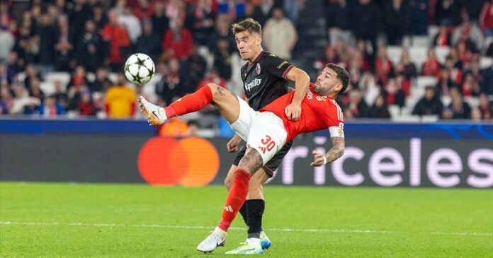 Benfica Bolonha Benfica Bolonha