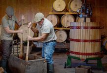 Quinta da Moscadinha: O maior produtor de sidra da Madeira junta tradição e qualidade com prémios internacionais Quinta da Moscadinha