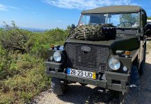 Passeio Motormáquina dos Veteranos: Uma Viagem pela História e Paisagens do Ribatejo Passeio Motormáquina dos Veteranos