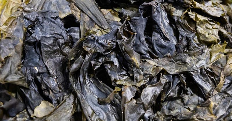 Wakame desidratado