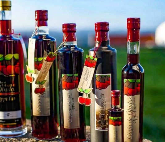 Vinalda assume distribuição da Ginja de Óbidos Oppidum Ginja de Óbidos Oppidum