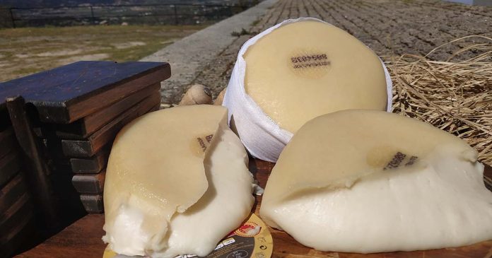 PROVE Vinho e Queijo