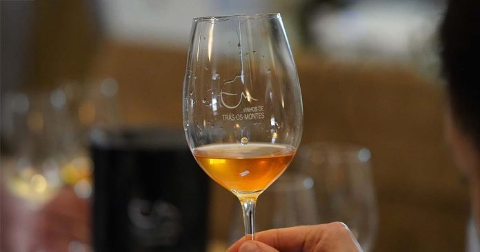 Vinhos de Trás-os-Montes