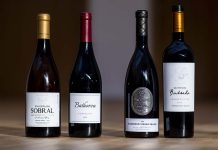 Concurso Vinhos do Tejo 2025 elegeu os melhores da região melhores Vinhos do Tejo
