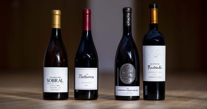 melhores Vinhos do Tejo
