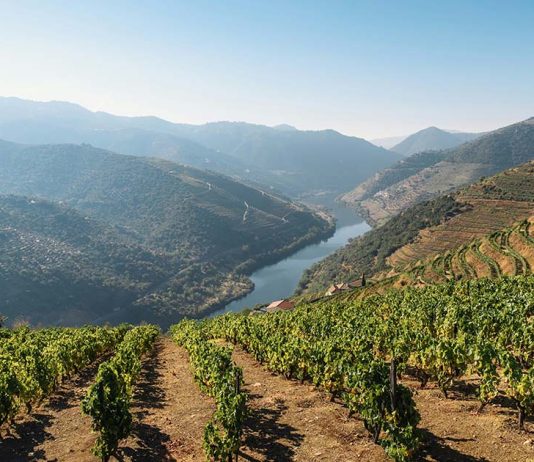 Apreendidos mais de 100 mil litros de vinho licoroso na Região Demarcada do Douro vinho licoroso