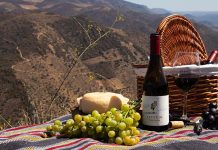 Altitude by Duorum: Um vinho de Altitude com um Perfil Gastronómico Altitude by Duorum