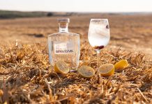 Ervideira Lança G(IN)VISÍVEL: O Novo Gin Feito de Uvas do Vinho Invisível Gin Ervideira