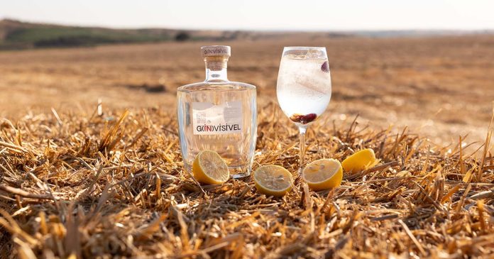 Gin Ervideira