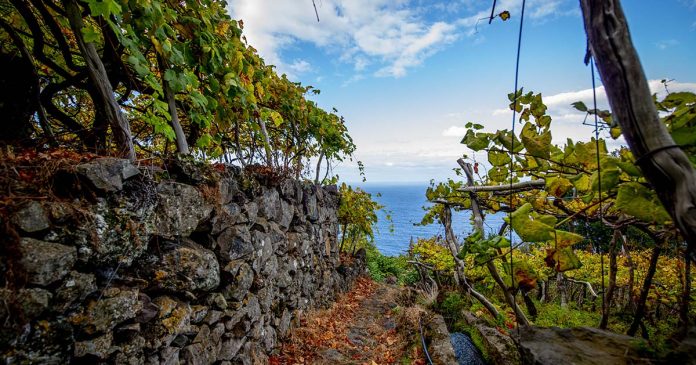 Madeira Noruega - @Humberto Mouco_4 Madeira Noruega