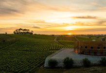 Quinta do Encontro: Enoturismo de excelência no coração da Bairrada Quinta do Encontro Enoturismo