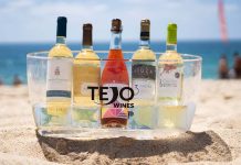 Vinhos do Tejo regressam às praias neste verão com mais referências e ações para toda a família Vinhos do Tejo verão
