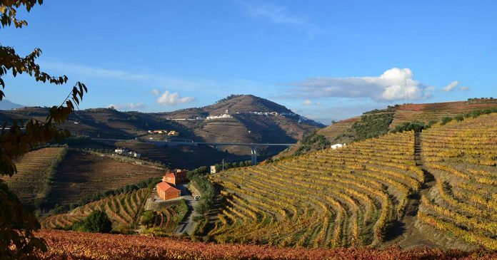enoturismo Douro