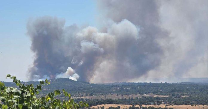 fogo em Penamacor fogo em Penamacor