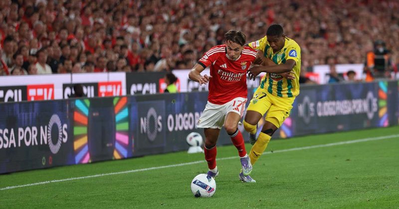 Benfica Tondela