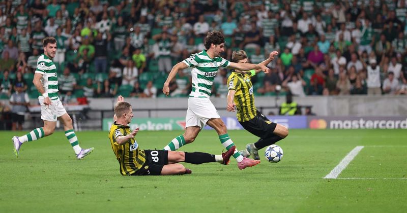 Sporting Liga dos Campe&otilde;es