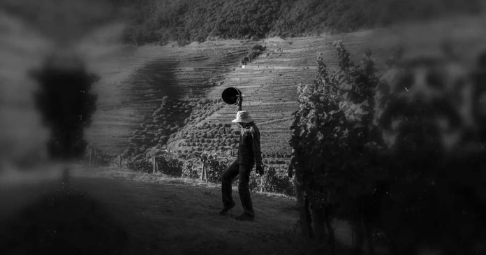 concurso fotografia preto e branco