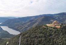 Experiência Enogastronómica no Douro: Almoços Exclusivos na Quinta das Carvalhas e à Mesa na Casa Redonda experiência enogastronómica no Douro