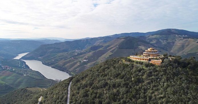 experiência enogastronómica no Douro