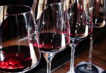 O Mundo do Vinho 2025: O festival que celebra Cultura, Gastronomia e Arte em Coimbra festival de vinho