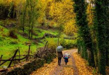 Outono Mágico no Vale do Ambroz: Uma escapadinha de outono entre cores, sabores e tradições escapadinha de outono
