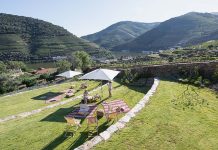 Quinta do Bomfim reconhecida pela Forbes no TOP 50 Best Wineries e no World’s Best Vineyards Quinta do Bomfim
