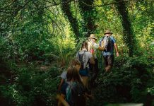 Rota Vicentina: o turismo no Alentejo cuida da natureza Rota Vicentina Alentejo