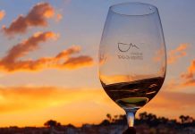 Trás-os-Montes Wine Experience: A viagem vínica que celebra tradição e inovação no Vidago Palace e em Lisboa Trás-os-Montes Wine Experience