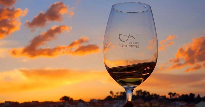 Trás-os-Montes Wine Experience