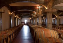 Enoturismo no Dão: Quinta de Lemos celebra 20 anos de colheitas com Open Day enoturismo no Dão