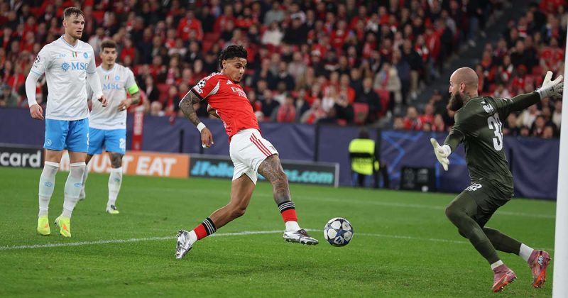 Benfica N&aacute;poles Liga dos Campe&otilde;es