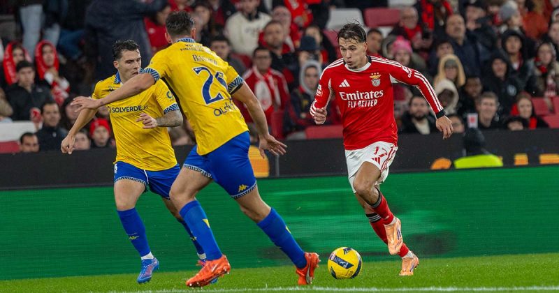 Vit&oacute;ria Benfica Luz