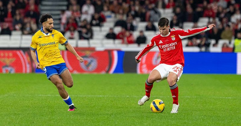 Vit&oacute;ria Benfica Luz