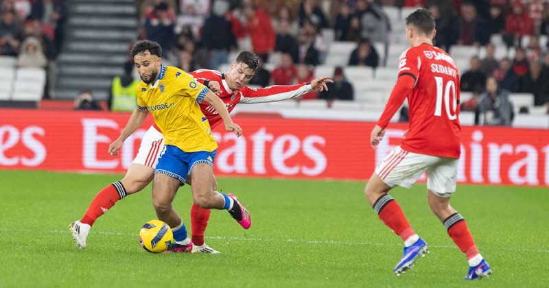 Vit&oacute;ria Benfica Luz