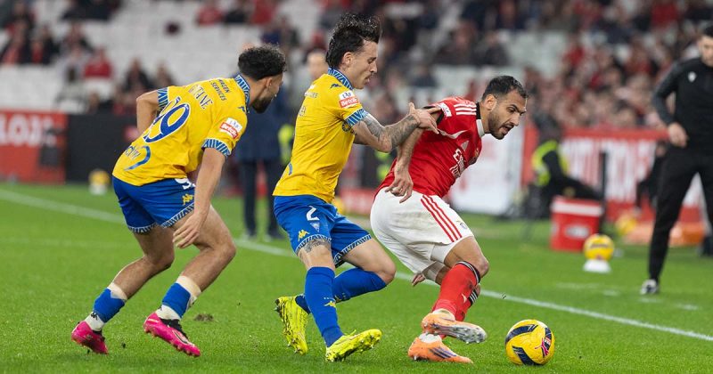 Vit&oacute;ria Benfica Luz