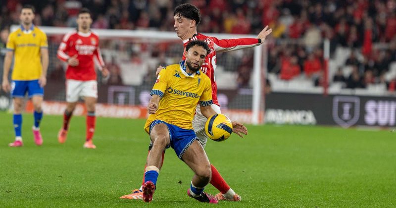 Vit&oacute;ria Benfica Luz