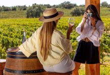 Algarve na BTL 2026: cinco dias de cultura, gastronomia e experiências únicas Algarve na BTL 2026