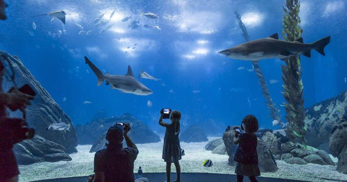 Happy Hour Oceanário Happy Hour Oceanário