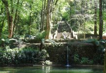 Rota da Bairrada celebra 20 anos distinguida em enoturismo nos Prémios Grandes Escolhas Rota da Bairrada enoturismo