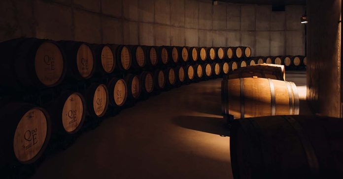 jantar vínico Bairrada jantar vínico Bairrada