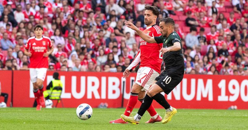 Benfica Moreirense