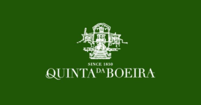 Boeira compra Romariz